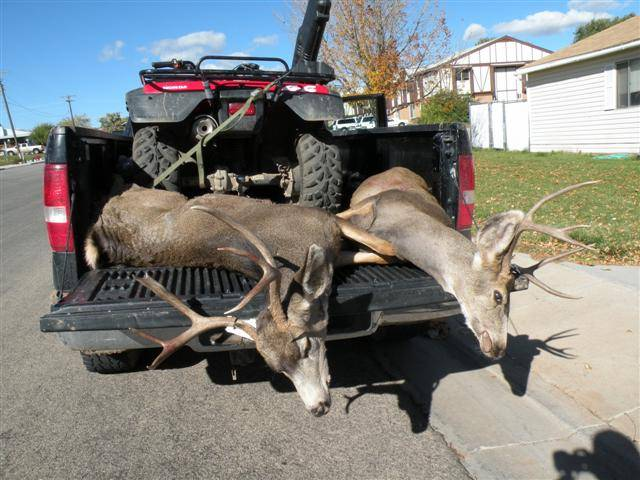 Name:  deer hunt 3.bmp
Views: 175
Size:  900.1 KB