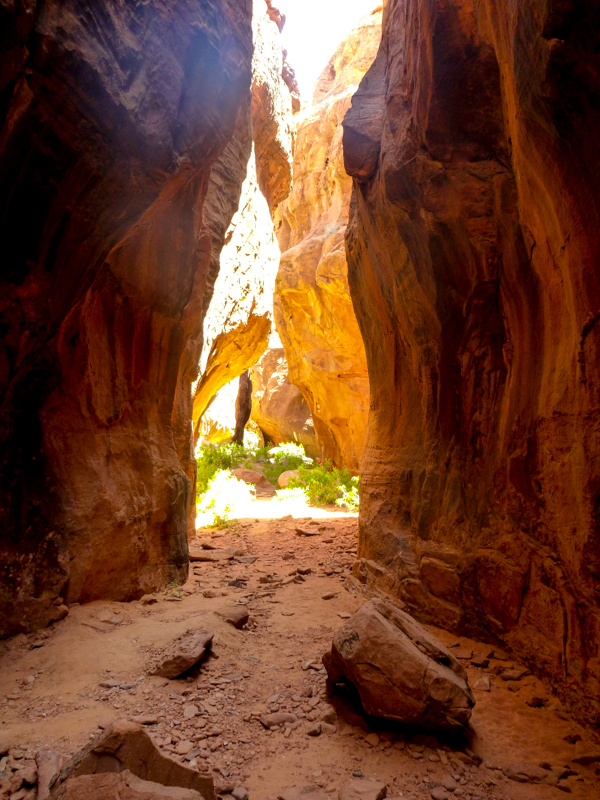 Hidden Slot Canyon full of petroglyphs (Gold Butte area of NV)