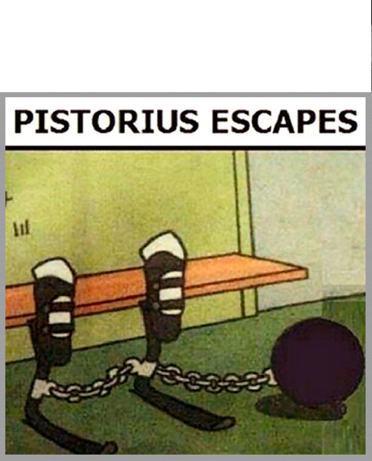 Name:  pistorius.PNG
Views: 1662
Size:  588.9 KB