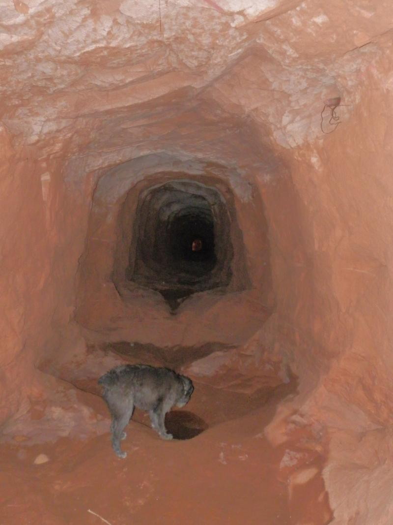 Name:  Tunnel.jpg
Views: 955
Size:  69.3 KB