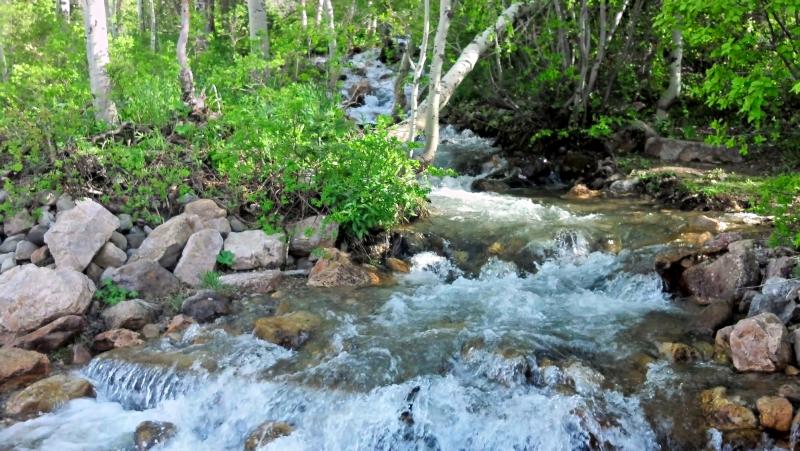 Name:  2013-05-22_17-53-23_HDR.jpg
Views: 374
Size:  93.0 KB