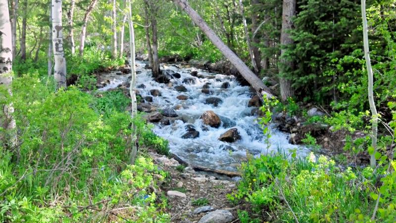 Name:  2013-05-22_17-54-13_HDR.jpg
Views: 324
Size:  110.1 KB