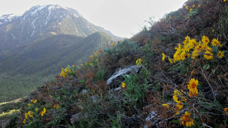 Name:  2013-05-22_19-16-25_HDR.jpg
Views: 349
Size:  72.3 KB