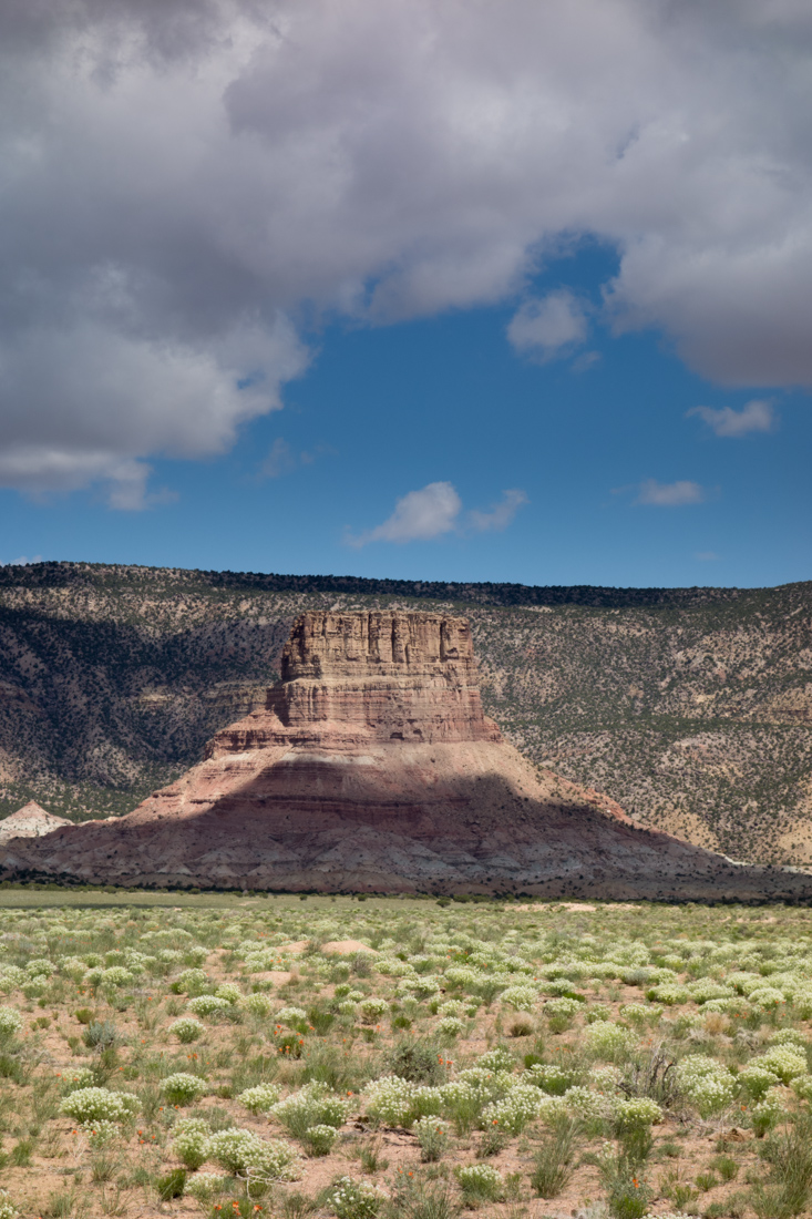 Name:  05192013_SanRafaelCampingLeah-10.jpg
Views: 339
Size:  479.2 KB