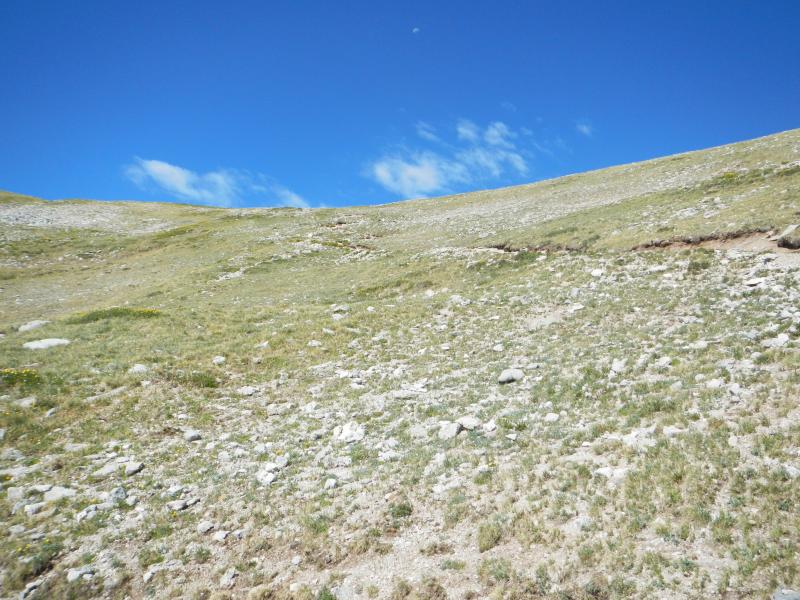 Name:  DSCN1270.jpg
Views: 664
Size:  96.0 KB