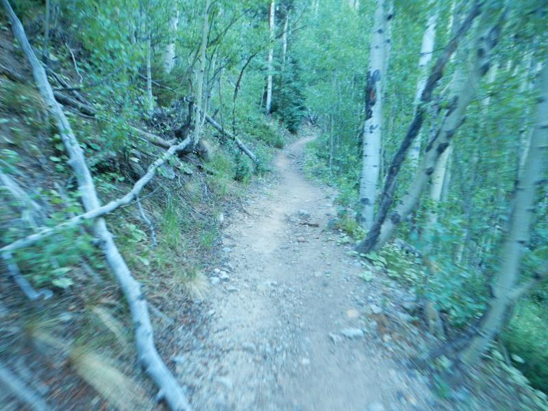 Name:  DSCN1386.jpg
Views: 632
Size:  94.8 KB