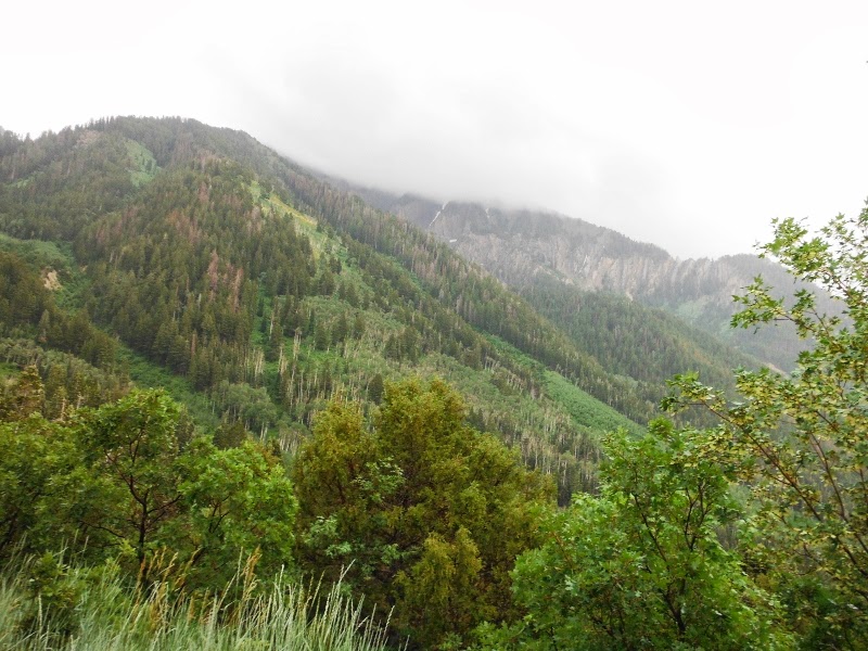 Name:  DSCF1682+%u00252528800x600%2529.jpg
Views: 2640
Size:  152.1 KB