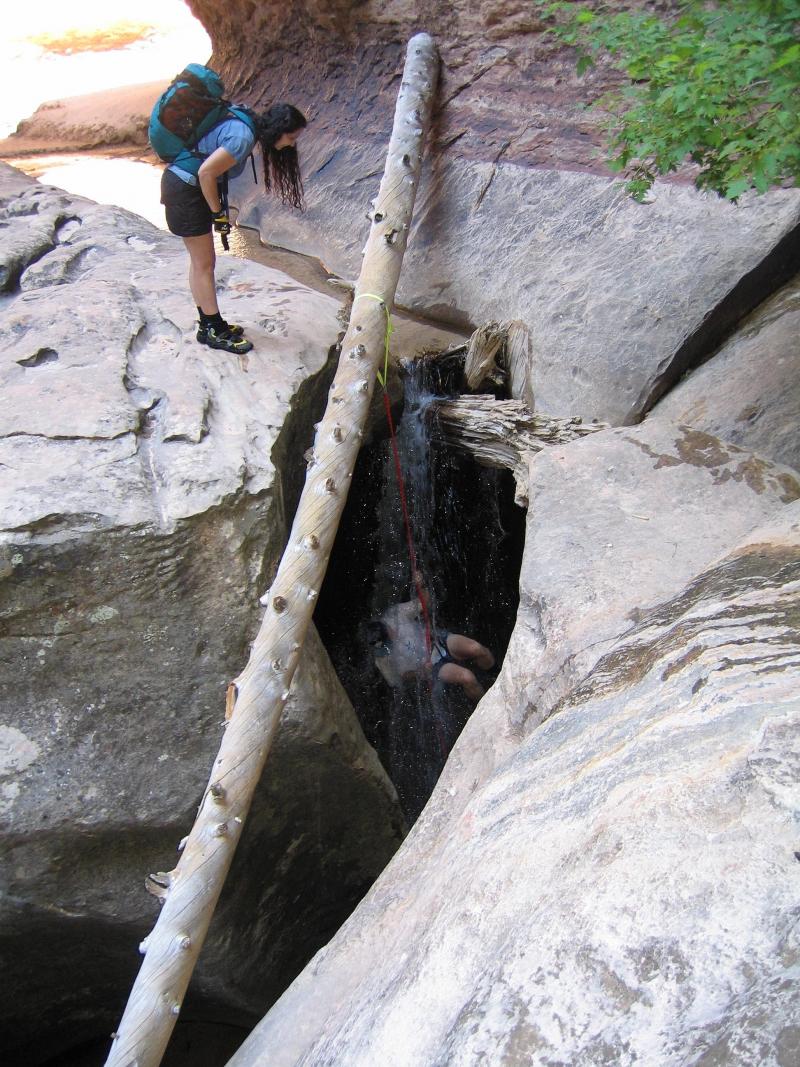 Name:  114-1436_IMG.jpg
Views: 447
Size:  165.6 KB
