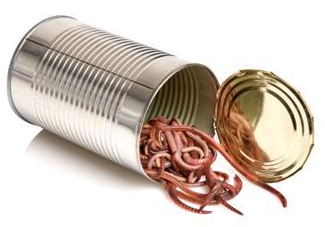 Name:  open-a-can-of-worms.jpg
Views: 614
Size:  30.4 KB