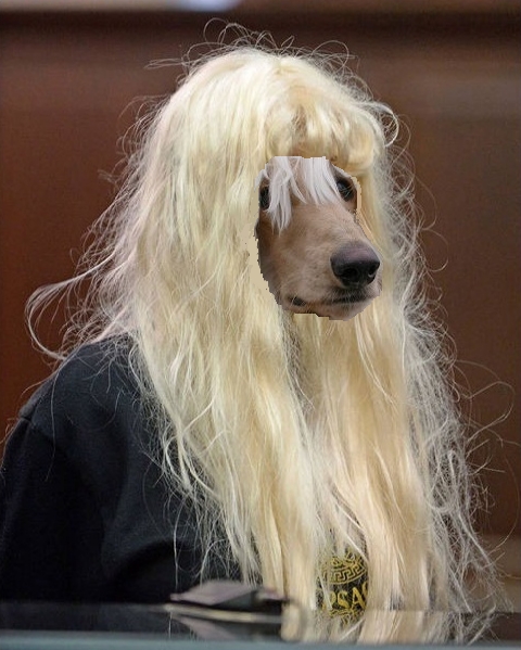 Name:  doggie style.jpg
Views: 896
Size:  199.3 KB