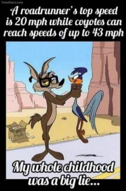 Name:  10.jpg
Views: 847
Size:  22.5 KB