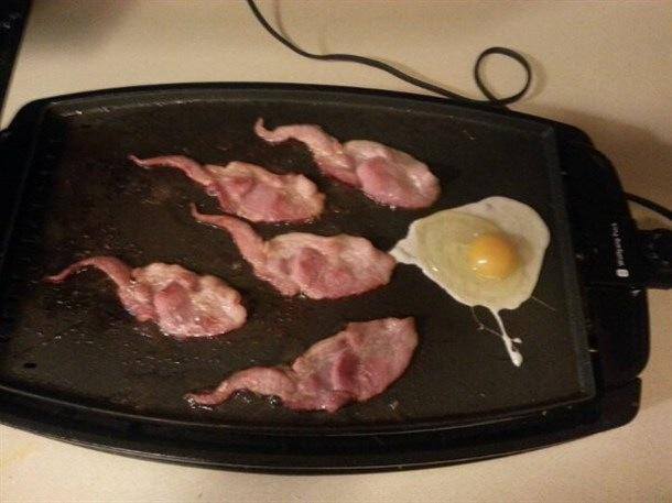Name:  bacon and eggs.jpg
Views: 875
Size:  34.5 KB