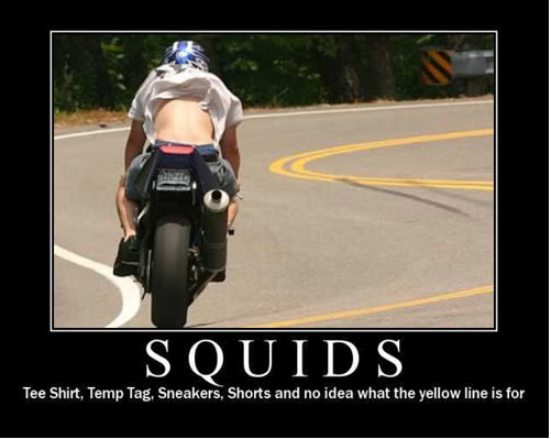 Name:  Squid.png
Views: 173
Size:  160.9 KB