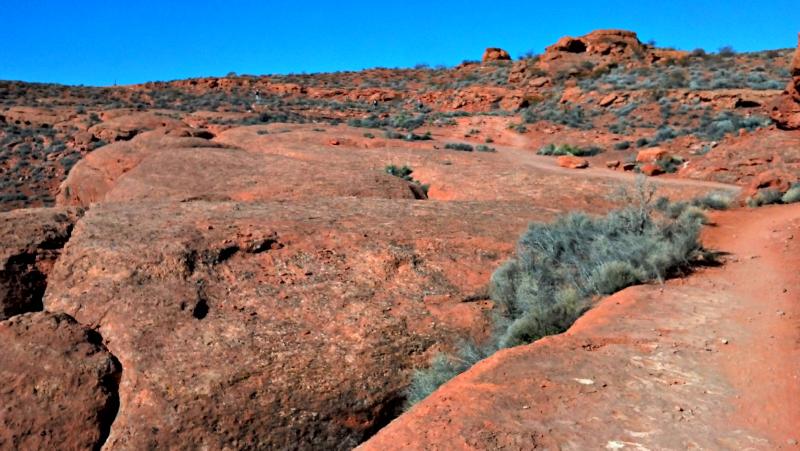 Name:  2014-01-20_12-44-55_HDR.jpg
Views: 348
Size:  73.1 KB