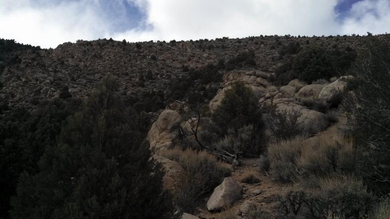 Name:  IMG_20140402_152125_617.jpg
Views: 552
Size:  49.1 KB