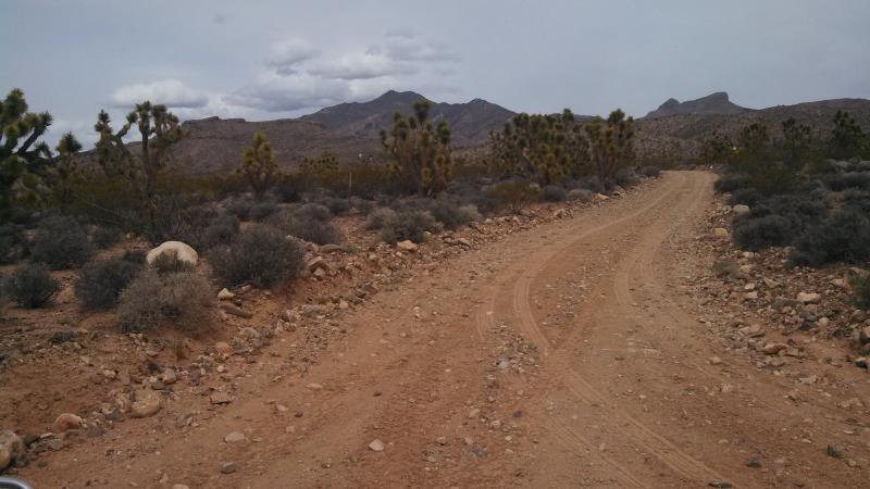 Name:  IMG_20140404_135246_523.jpg
Views: 504
Size:  52.4 KB