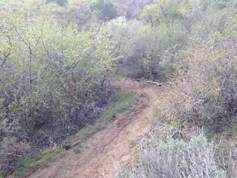 Name:  IMG_0351.jpg
Views: 206
Size:  127.8 KB