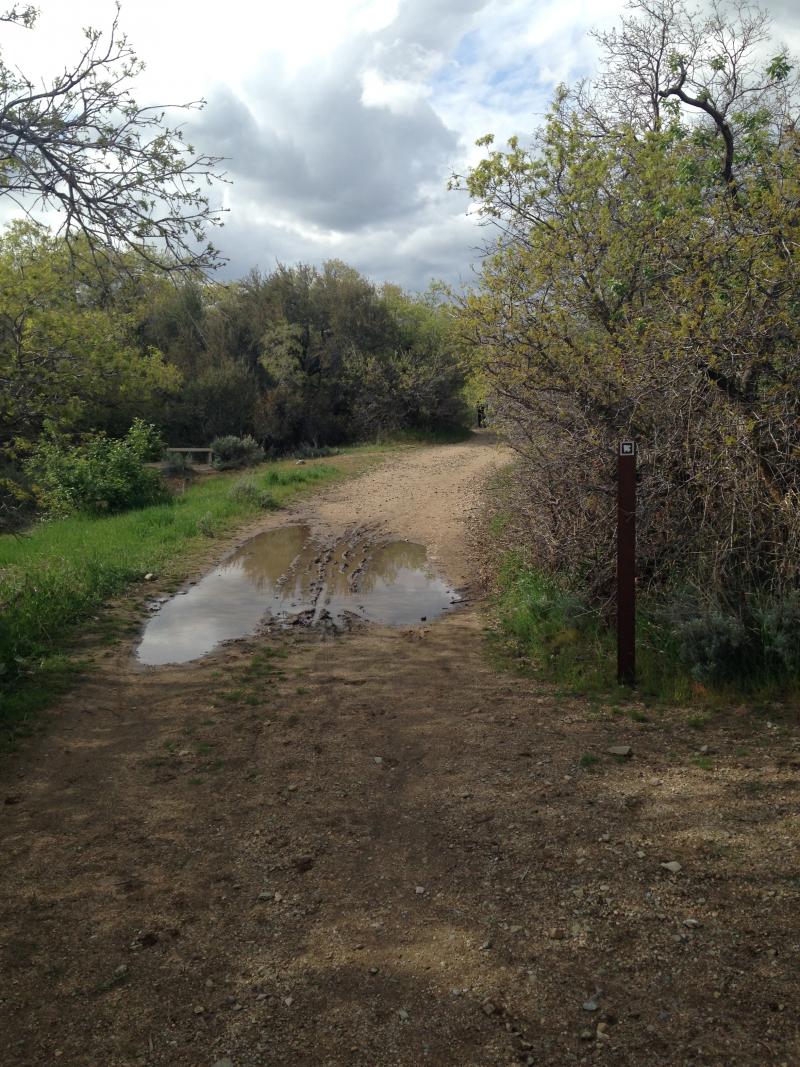 Name:  IMG_0370.jpg
Views: 207
Size:  176.4 KB