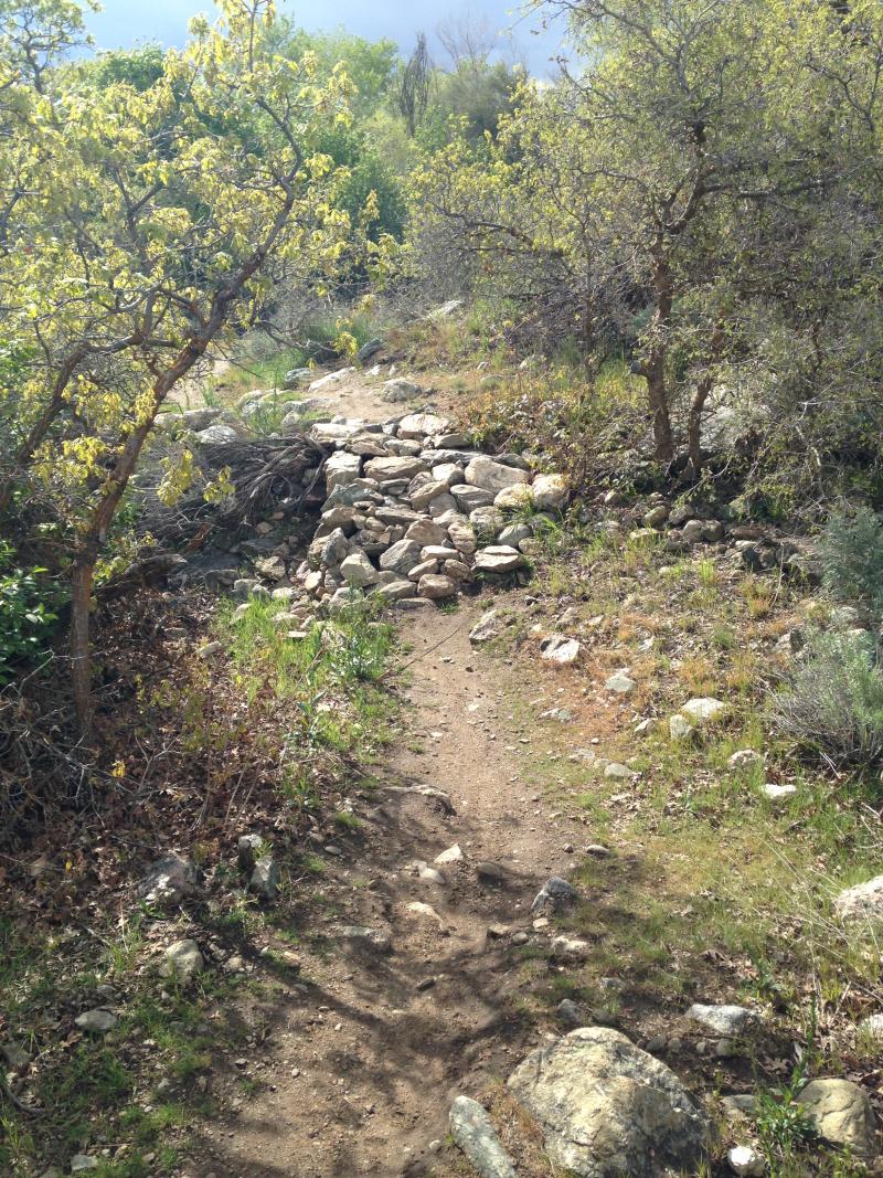 Name:  IMG_0385.jpg
Views: 220
Size:  269.1 KB