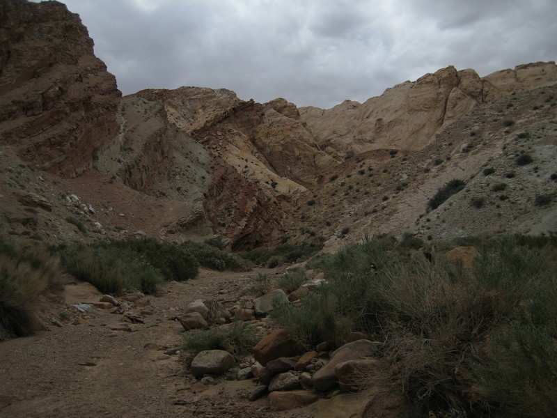 Name:  IMG_3072_tn.jpg
Views: 1353
Size:  129.1 KB