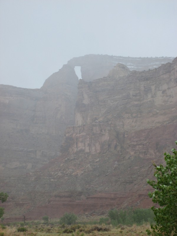 Name:  IMG_3132_tn.jpg
Views: 1318
Size:  74.7 KB
