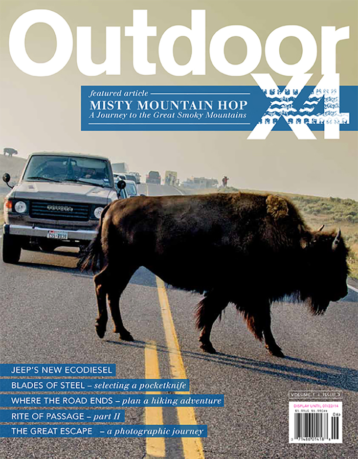Name:  Issue 3 Cover.jpg
Views: 595
Size:  502.3 KB