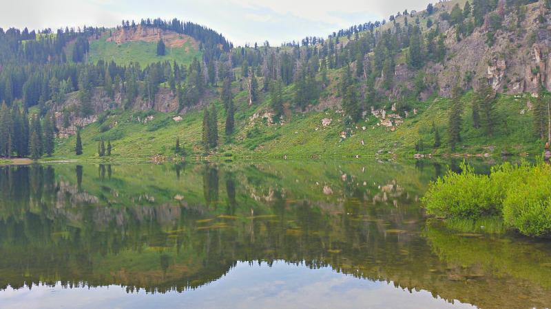Name:  2014-07-28_09-50-50_HDR.jpg
Views: 2657
Size:  65.1 KB
