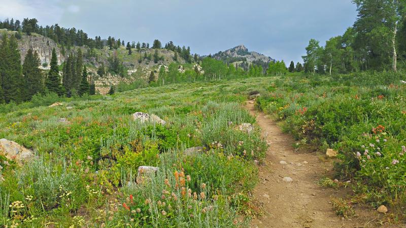 Name:  2014-07-28_10-21-02_HDR.jpg
Views: 759
Size:  99.3 KB