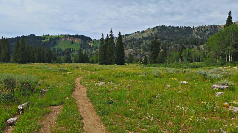 Name:  2014-07-28_10-32-48_HDR.jpg
Views: 731
Size:  77.7 KB