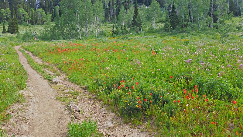 Name:  2014-07-28_10-34-56_HDR.jpg
Views: 699
Size:  113.1 KB