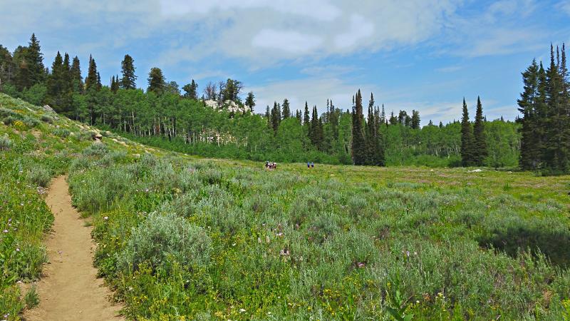 Name:  2014-07-28_11-52-37_HDR.jpg
Views: 981
Size:  91.2 KB