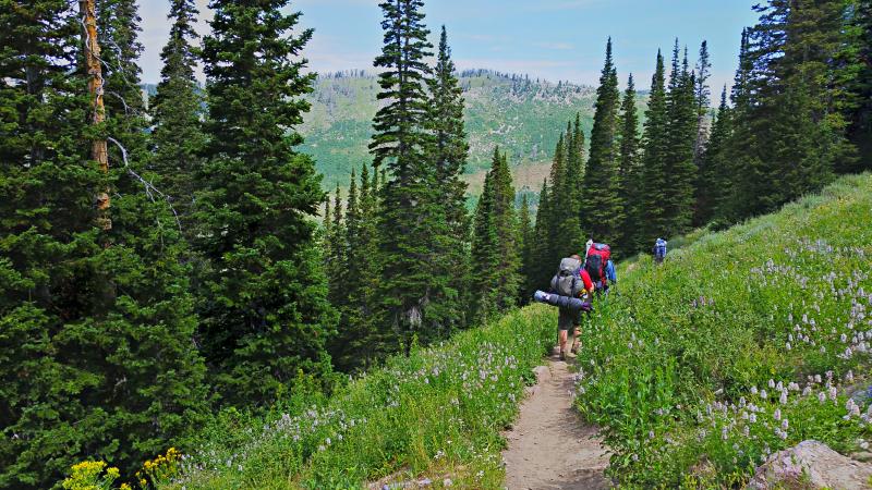 Name:  2014-07-28_12-10-30_HDR.jpg
Views: 734
Size:  112.5 KB