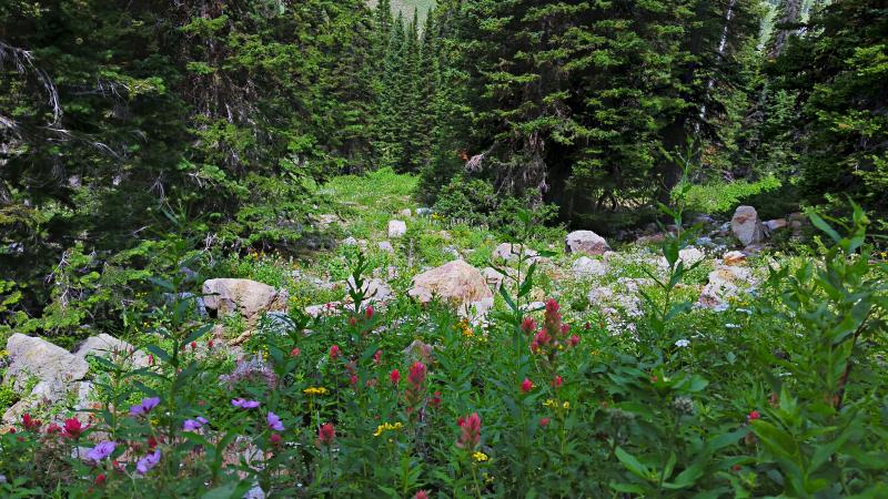 Name:  2014-07-28_12-16-10_HDR.jpg
Views: 684
Size:  111.4 KB