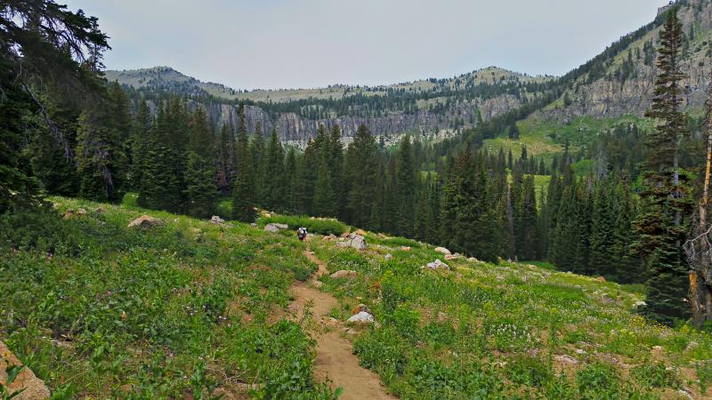 Name:  2014-07-28_12-25-30_HDR.jpg
Views: 717
Size:  86.9 KB
