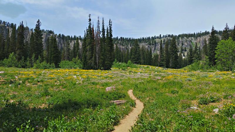 Name:  2014-07-28_12-37-31_HDR.jpg
Views: 695
Size:  92.1 KB