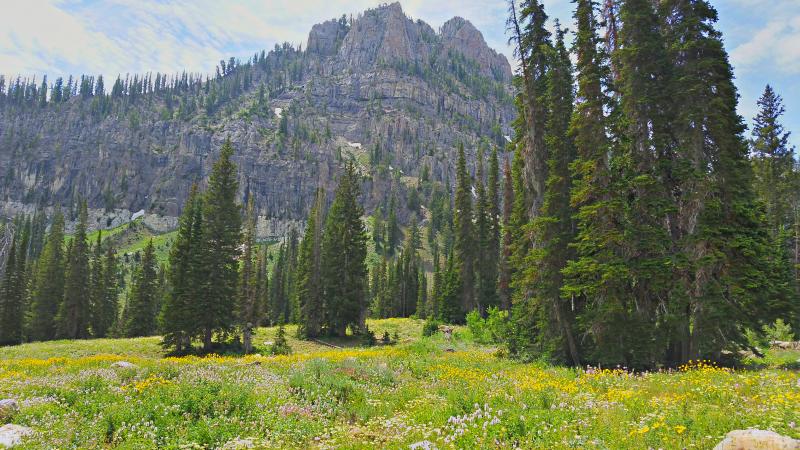 Name:  2014-07-28_12-38-55_HDR.jpg
Views: 726
Size:  95.1 KB