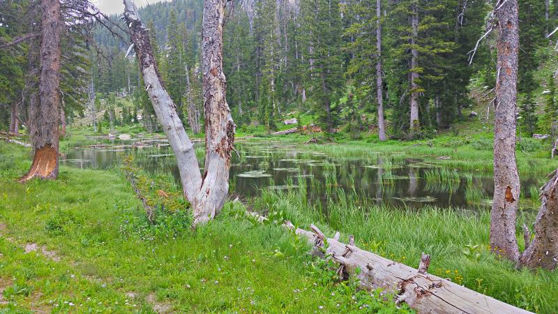 Name:  2014-07-28_15-34-20_HDR.jpg
Views: 702
Size:  109.7 KB