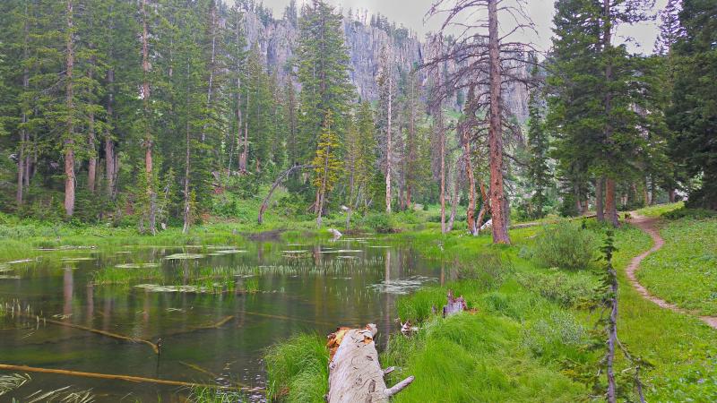 Name:  2014-07-28_15-36-02_HDR.jpg
Views: 671
Size:  93.4 KB