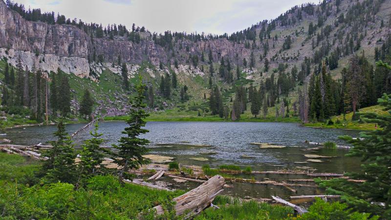 Name:  2014-07-28_15-46-55_HDR.jpg
Views: 669
Size:  88.7 KB