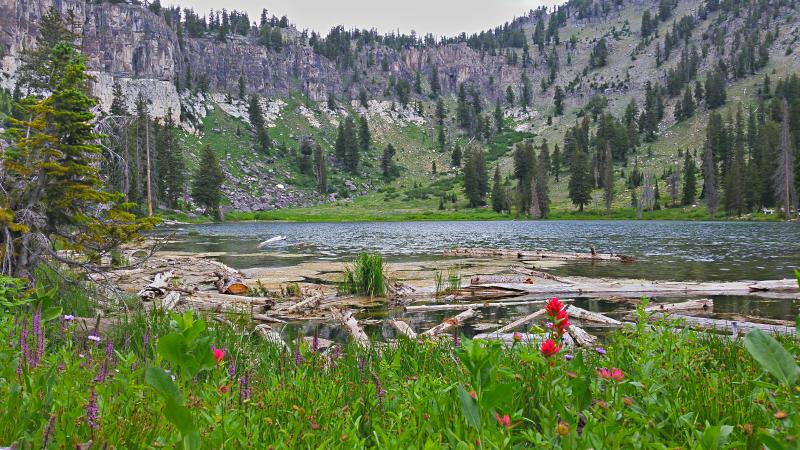 Name:  2014-07-28_15-49-02_HDR.jpg
Views: 746
Size:  107.4 KB