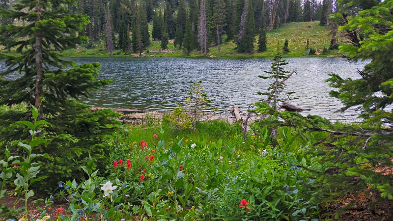 Name:  2014-07-28_15-52-16_HDR.jpg
Views: 663
Size:  106.4 KB