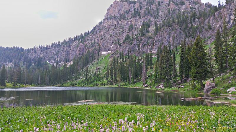 Name:  2014-07-28_16-02-01_HDR.jpg
Views: 673
Size:  90.3 KB