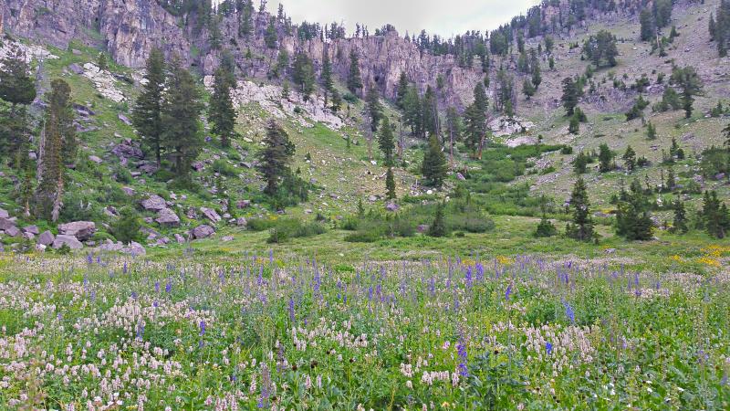 Name:  2014-07-28_16-02-47_HDR.jpg
Views: 653
Size:  117.5 KB