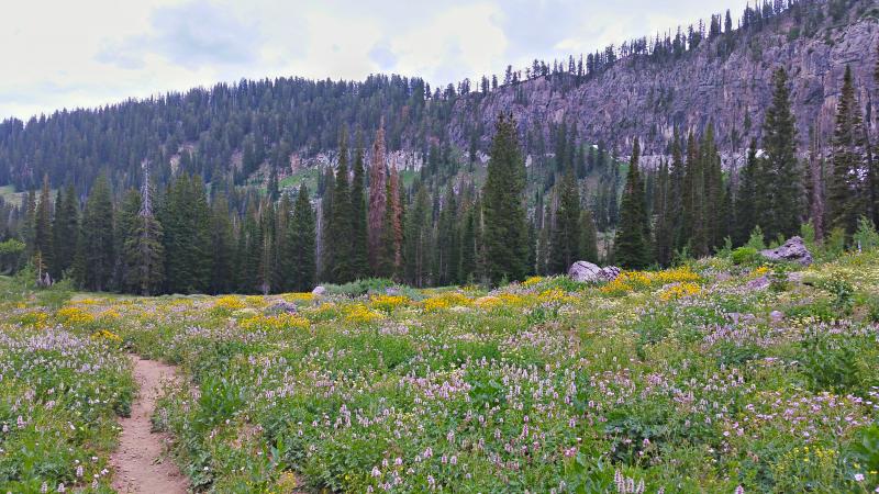 Name:  2014-07-28_16-23-52_HDR.jpg
Views: 684
Size:  97.8 KB