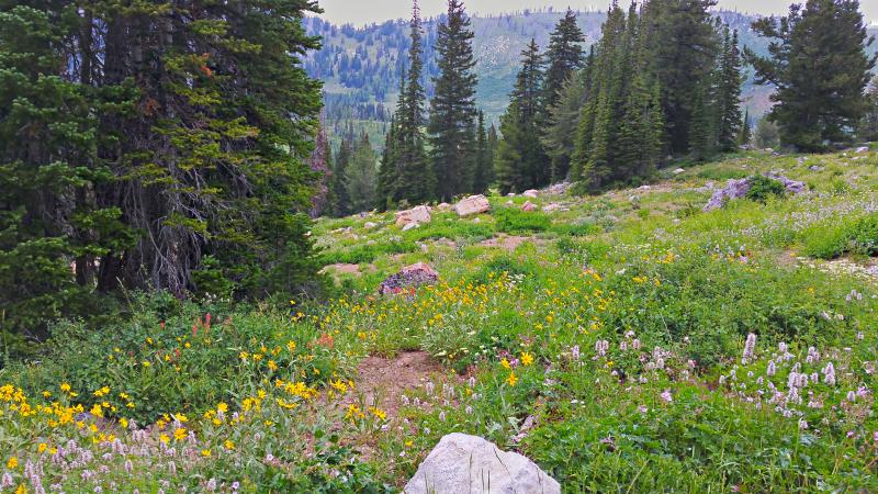 Name:  2014-07-28_16-41-49_HDR.jpg
Views: 692
Size:  112.9 KB