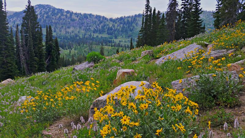 Name:  2014-07-28_16-44-32_HDR.jpg
Views: 786
Size:  108.5 KB