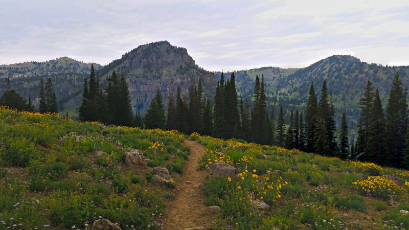 Name:  2014-07-28_16-58-40_HDR.jpg
Views: 756
Size:  60.9 KB