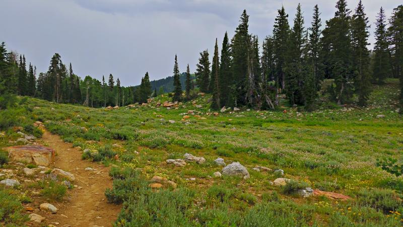 Name:  2014-07-28_17-35-17_HDR.jpg
Views: 700
Size:  81.7 KB