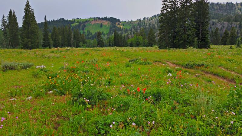 Name:  2014-07-28_17-47-46_HDR.jpg
Views: 660
Size:  86.9 KB