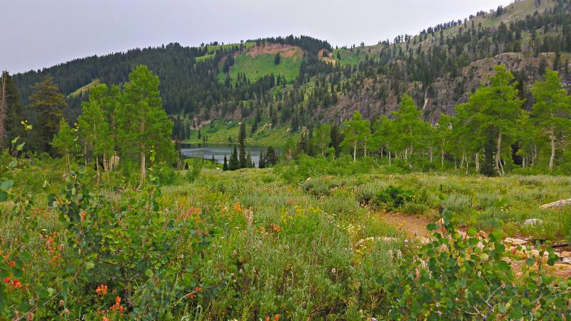 Name:  2014-07-28_17-52-22_HDR.jpg
Views: 671
Size:  86.8 KB